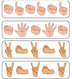 Ardıl Hafıza Nedir?