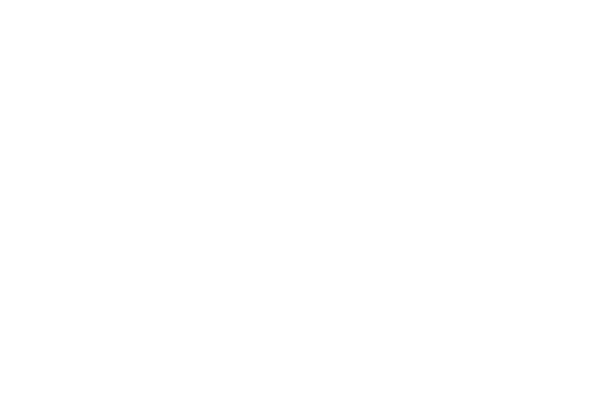 Mental Bag